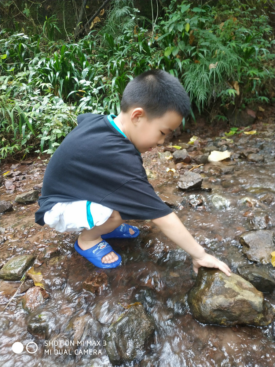 师生风采之2022年春季学期聚英星宝贝森林教育系列课程之金山公园鱼跃蟹肥（6.16）